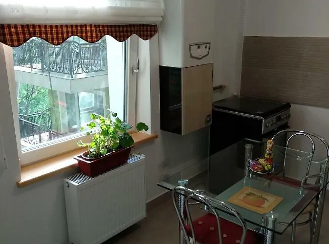 Ramona Daire Braşov